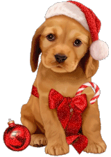 ® Blog Católico Navideño ®: 12/09/14