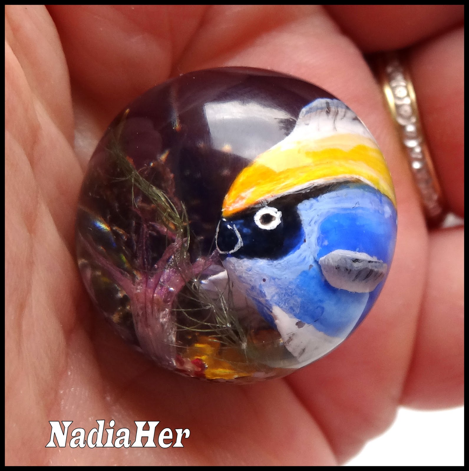 Bulle aquarium à quatre mains.