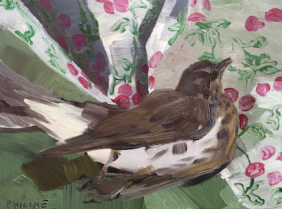 Thrush on a cherry cloth, still life oil on panel 15x20cm by Philine van der Vegte Thrush on a cherry cloth, still life oil on panel 15x20cm by Philine van der Vegte