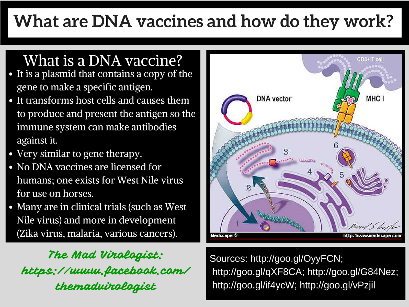 The Mad Virologist : Zika Update 10-2-2016