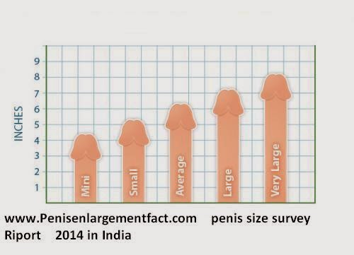 What Is The Average Size Erect Penis 105