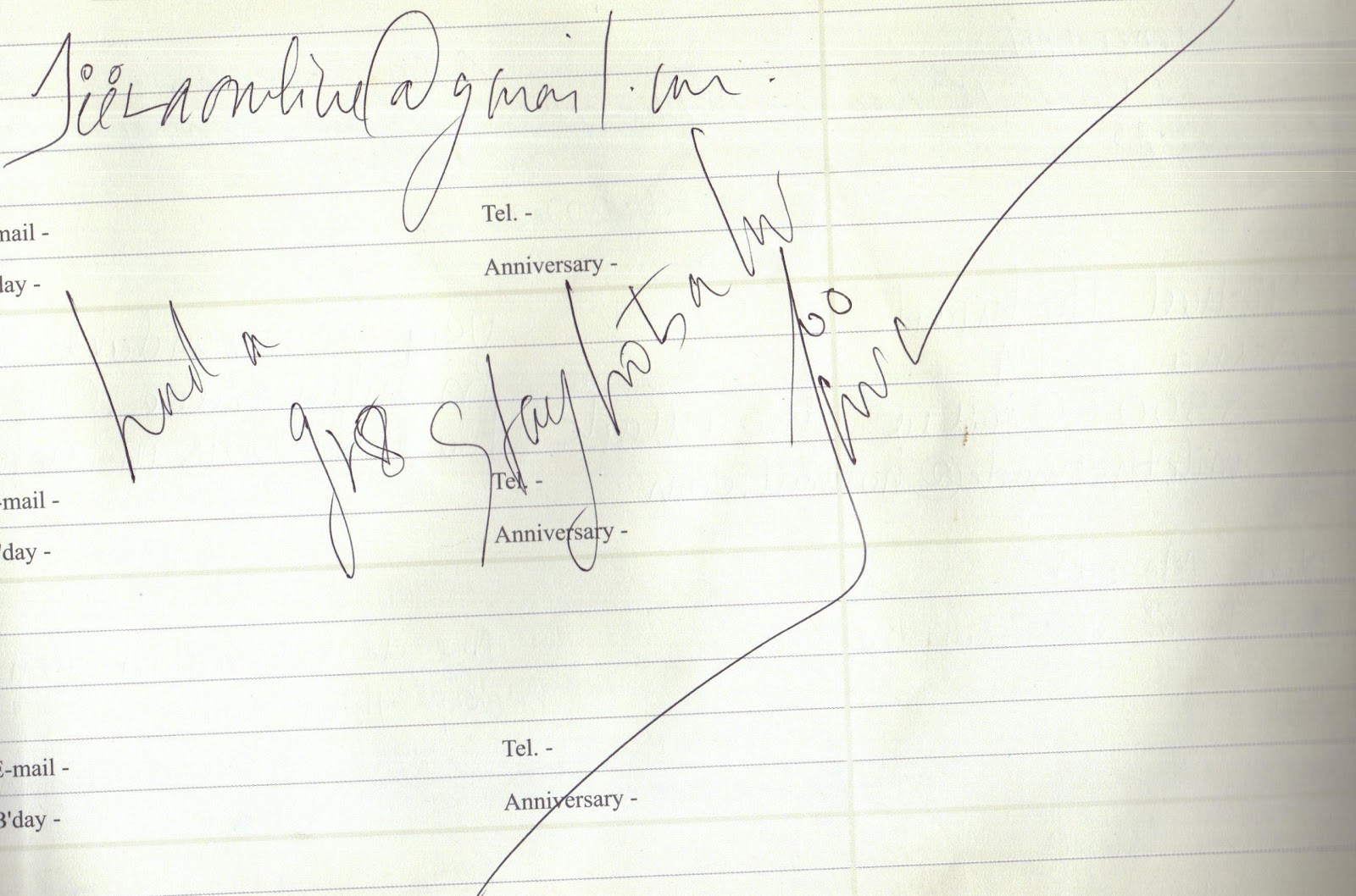 hotel mintflower wayanad