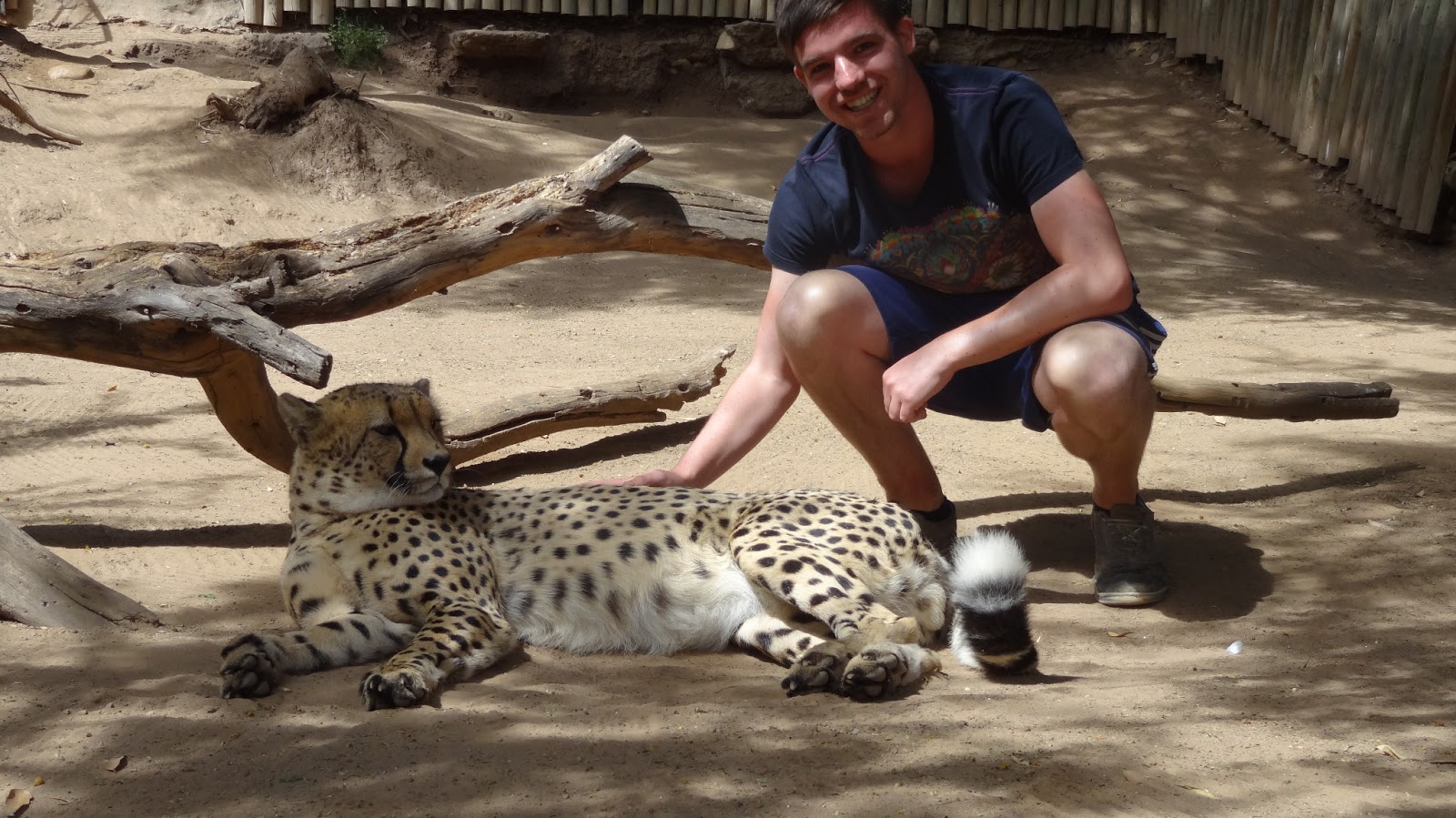 Katja goes South Africa: Garden Route Day 3 - Cuddling with cheetahs ...