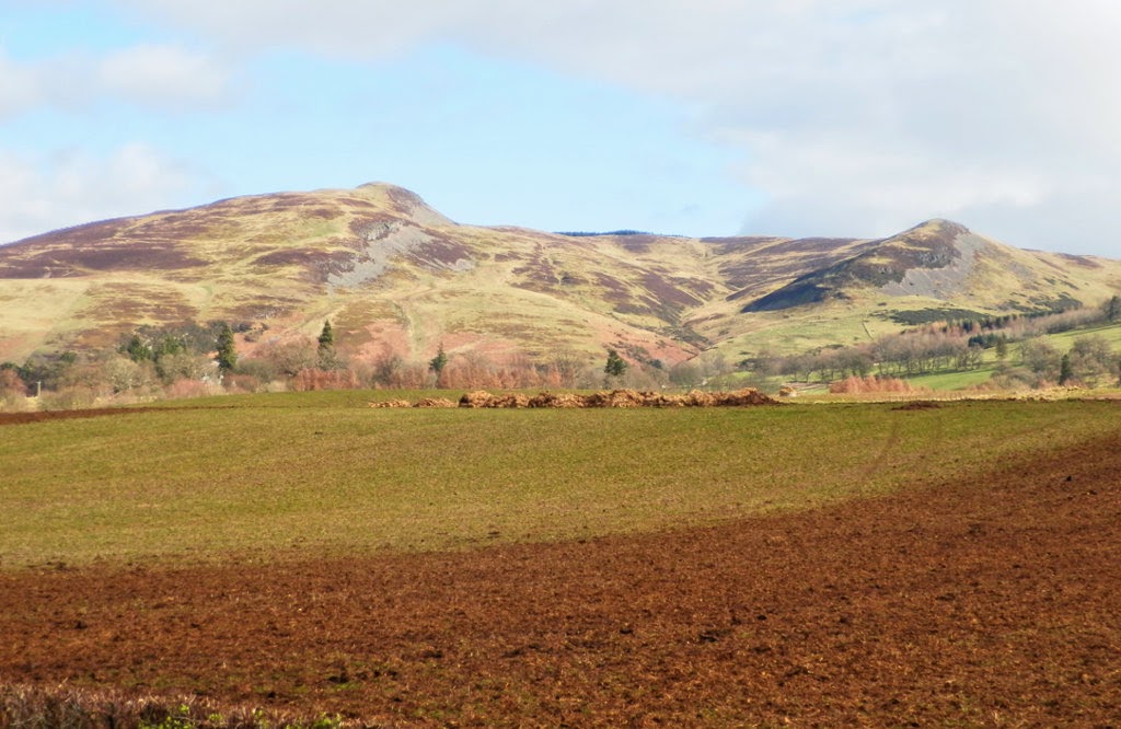 My Daily Walk Craig Rossie, Auchterarder