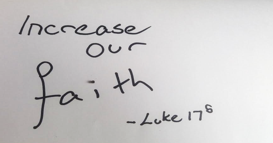 HOW IN THE WORLD!!: Increase our faith: Give us a mustard seed faith