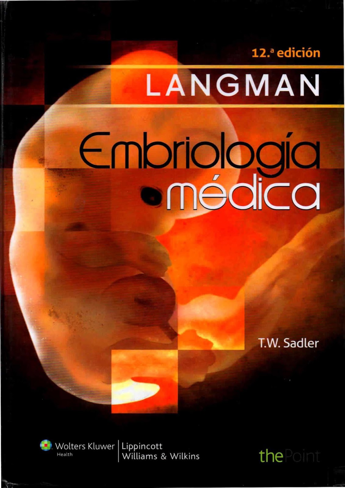 langman 12 edicion pdf descargar gratis langman 12 edicion pdf descargar gratis