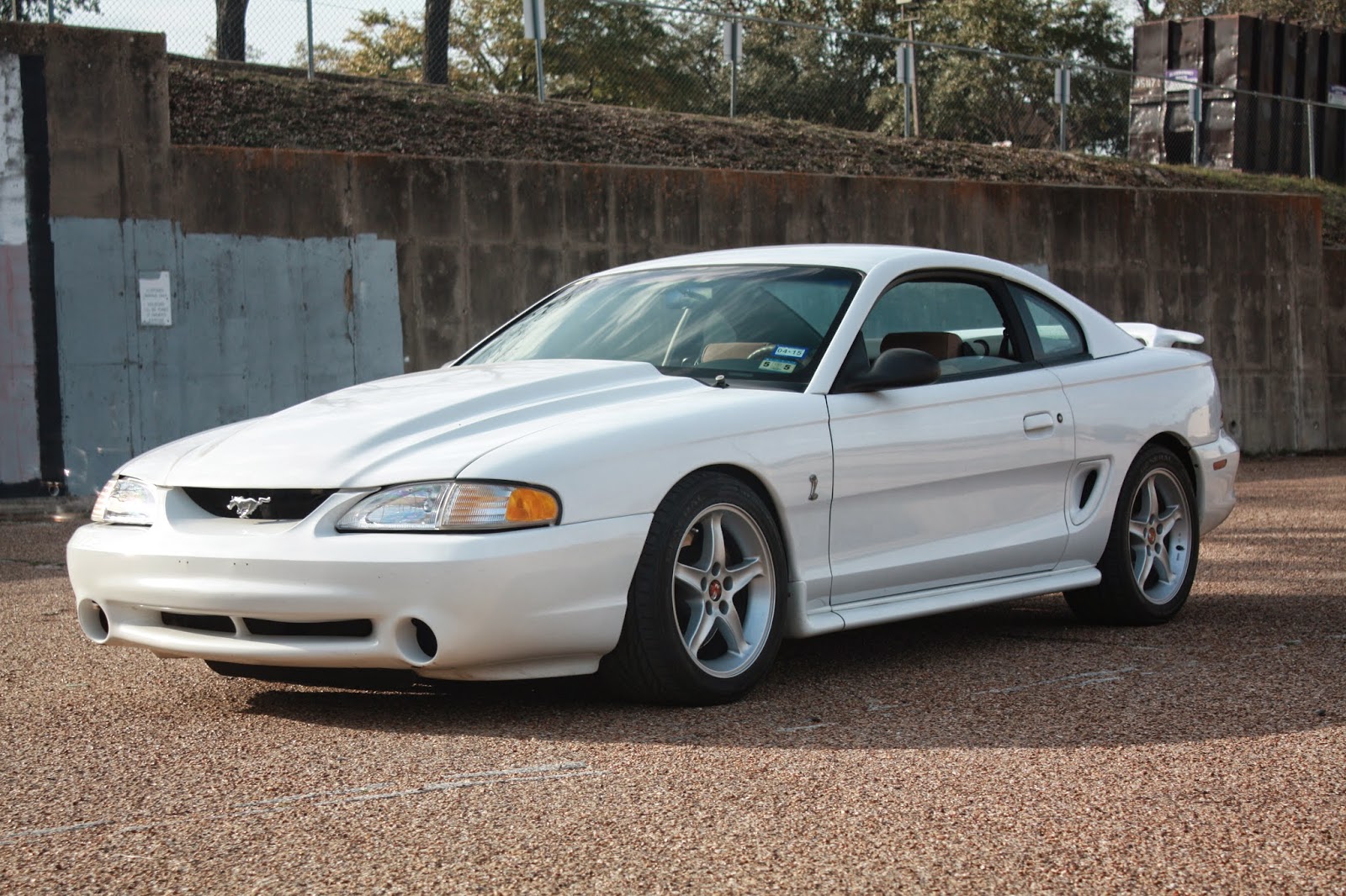 Whiteboy's Mustangs: 1995 mustang cobra (R)
