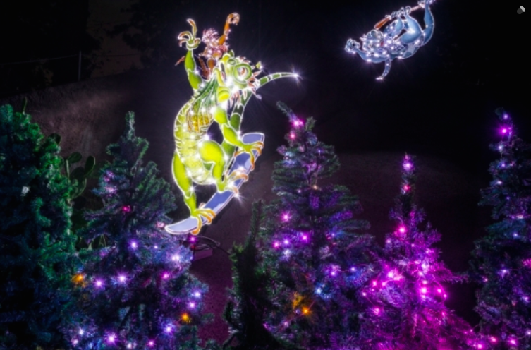 La zoo lights coupon code