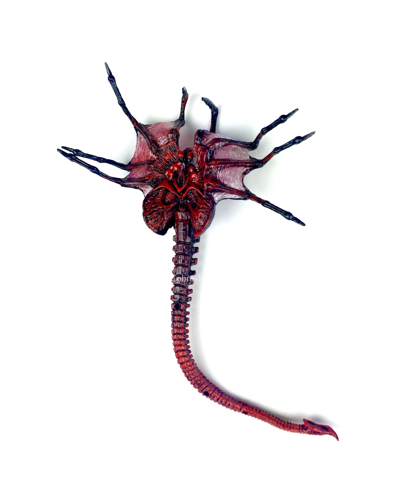 CobraShadowJoes NECA TOYS Kenner Aliens Queen Facehugger