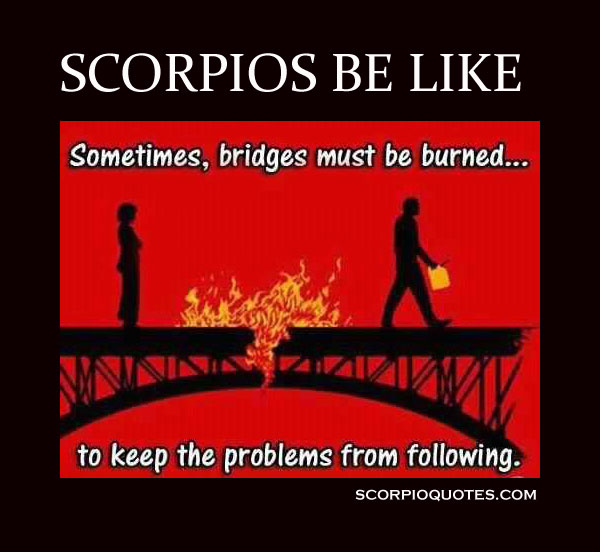 scorpio meme scorpions be like zodiac