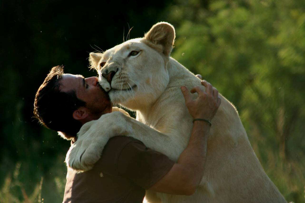 Desktop Wallpapers: Kevin Richardson, The Lion Man