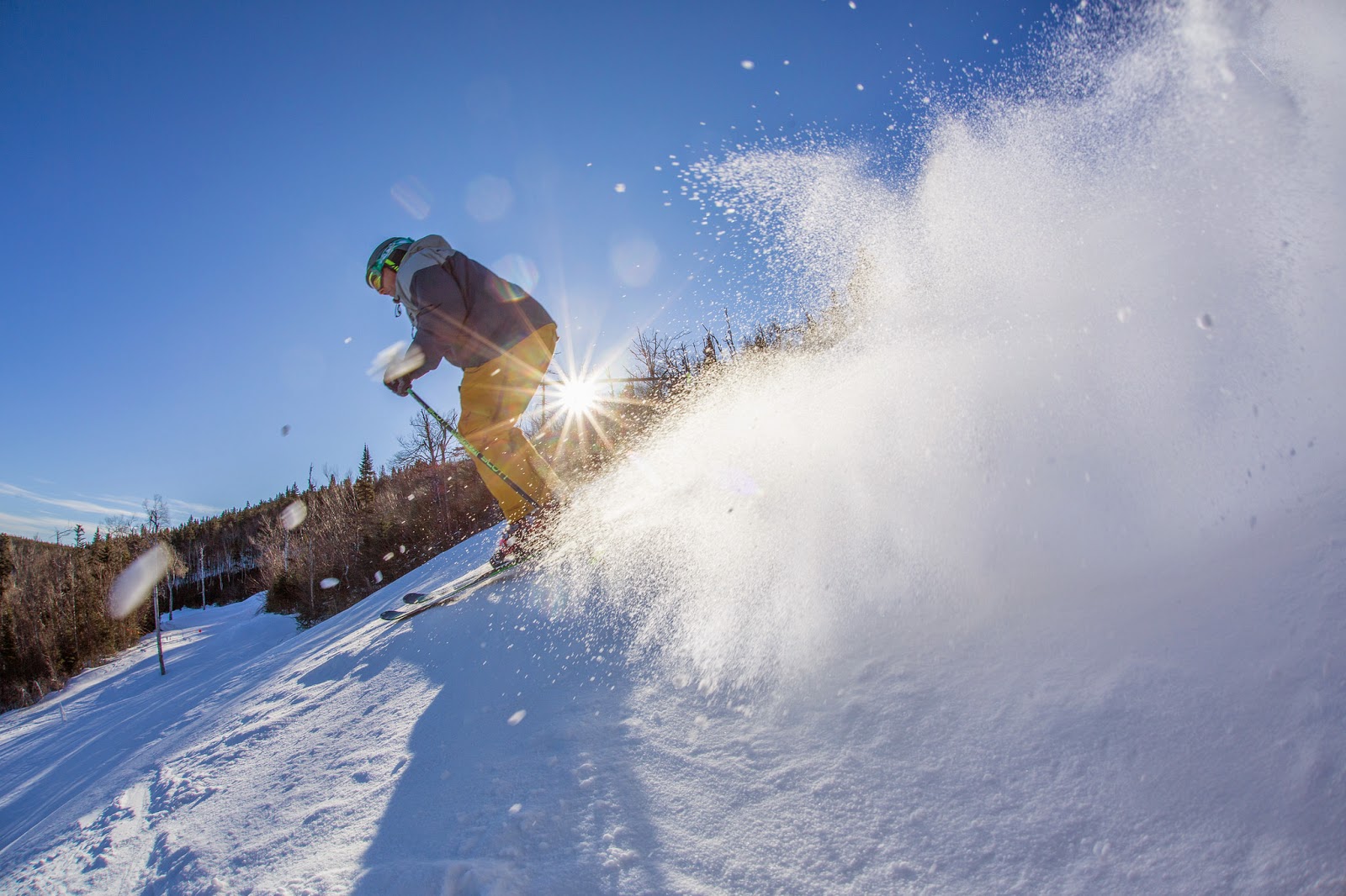 english ski