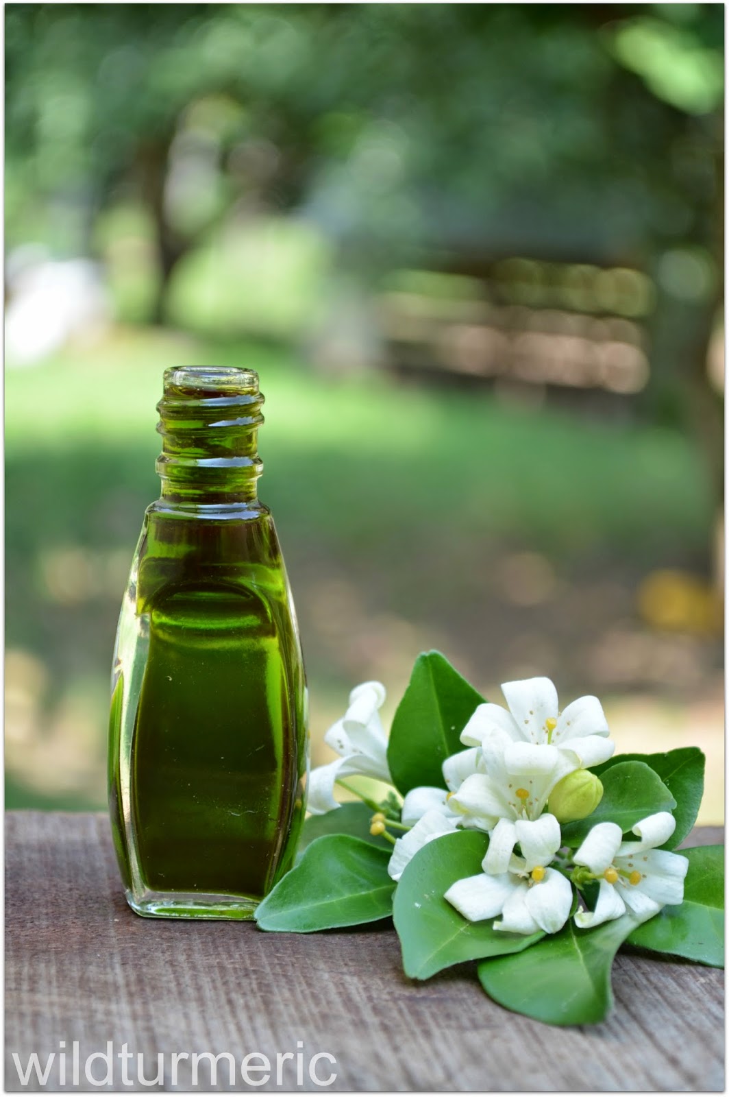 How to Make Bhringraj Karisalankanni Hair Oil Recipe For Hair Growth Wildturmeric