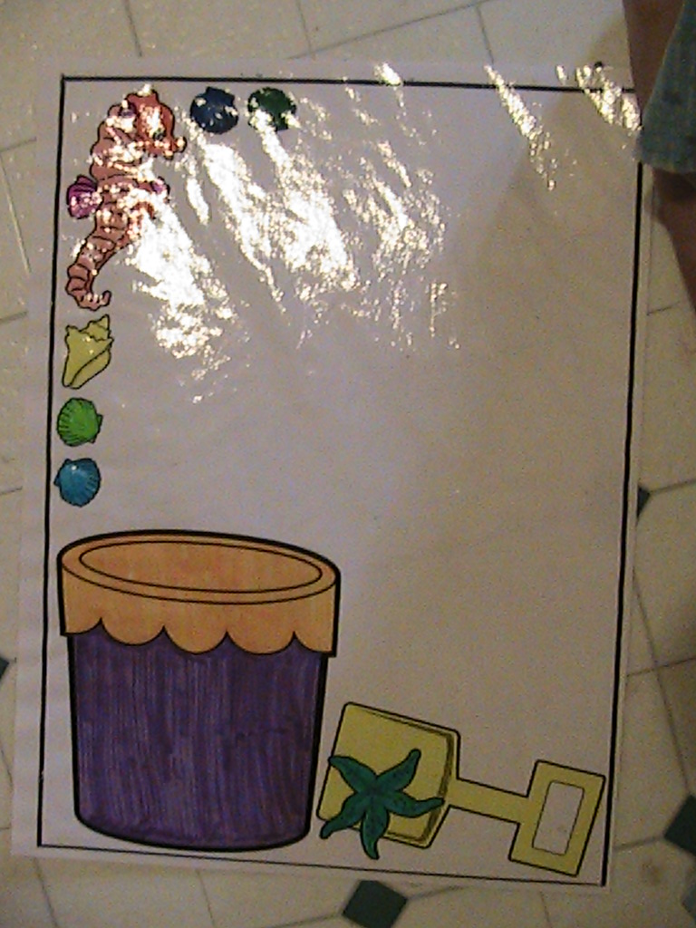 Seashells by the seashore