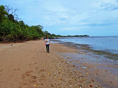 taman nasional baluran situbondo pantai bama
