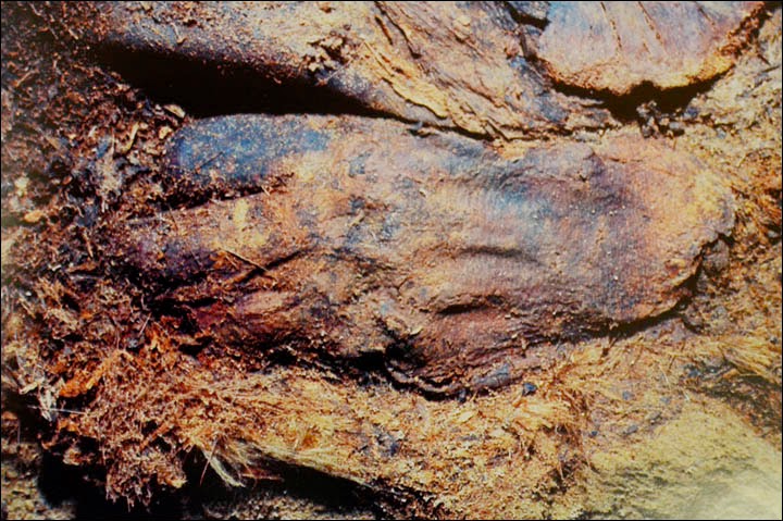 Medieval Siberian mummies baffle archaeologists