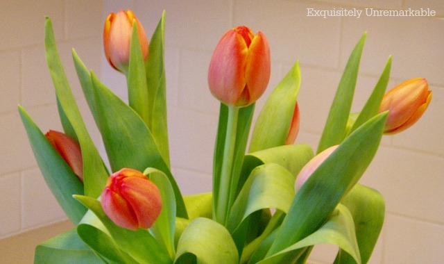 Decorating With Grocery Store Tulips