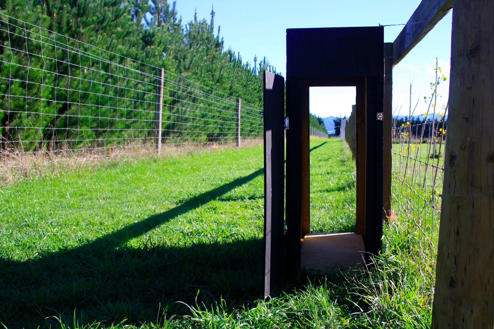 Feral Greyhound Kennels Kennel Facilities