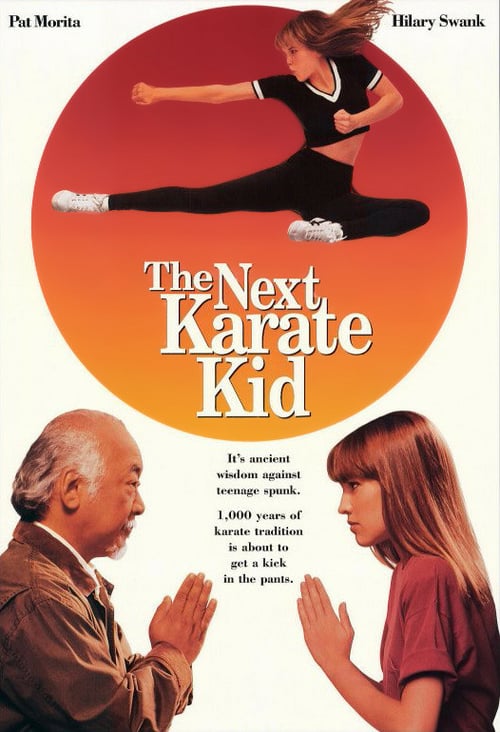 Descargar El nuevo Karate Kid 1994 Blu Ray Latino Online