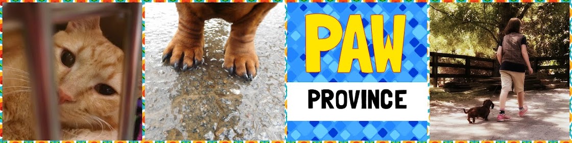 Paw Province