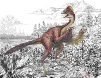 birds evolved from dinosaurs