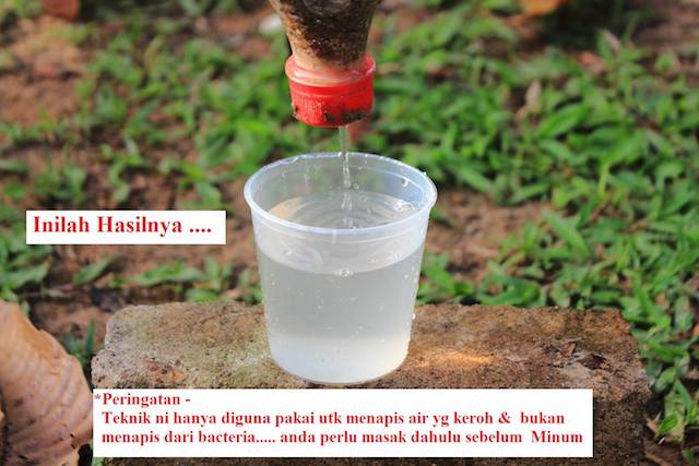 (Tips Survival) Cara Dapatkan Air Bersih Ketika Dalam Hutan