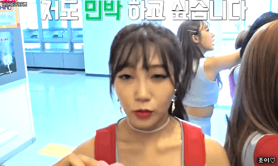 효리네민박 스탭으로 참여하고싶은 에이핑크 은지.gif | 인스티즈