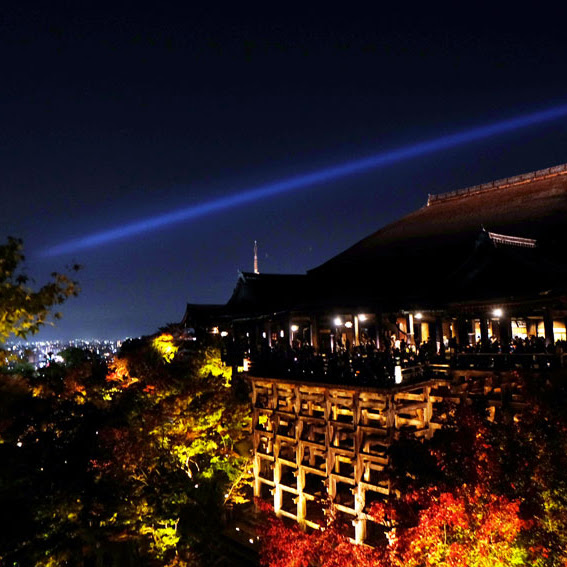 【京都】京都賞楓:夜的清水寺