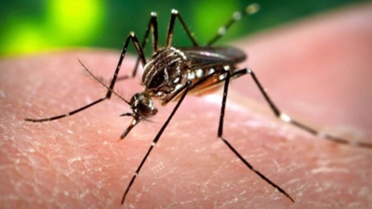 Enam Virus Paling Mematikan Dengan Jumlah Korban Nyawa Terbanyak Enam Virus Paling Mematikan Dengan Jumlah Korban Nyawa Terbanyak