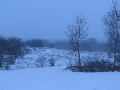 blue evening light