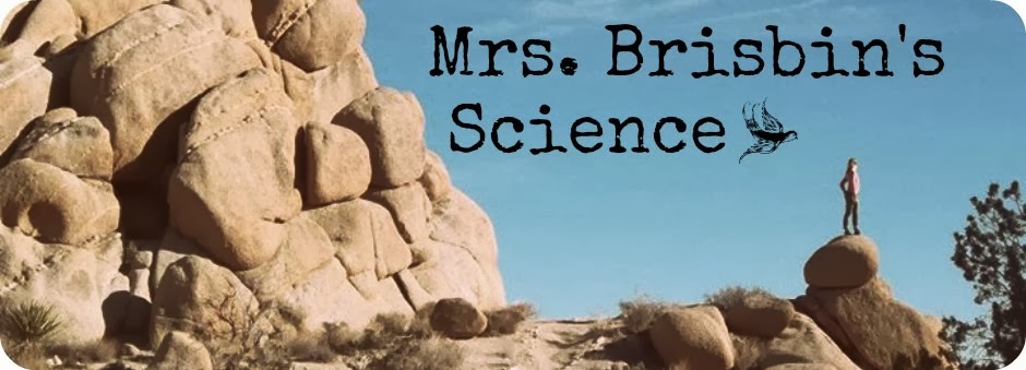 Mrs. Brisbin's Science