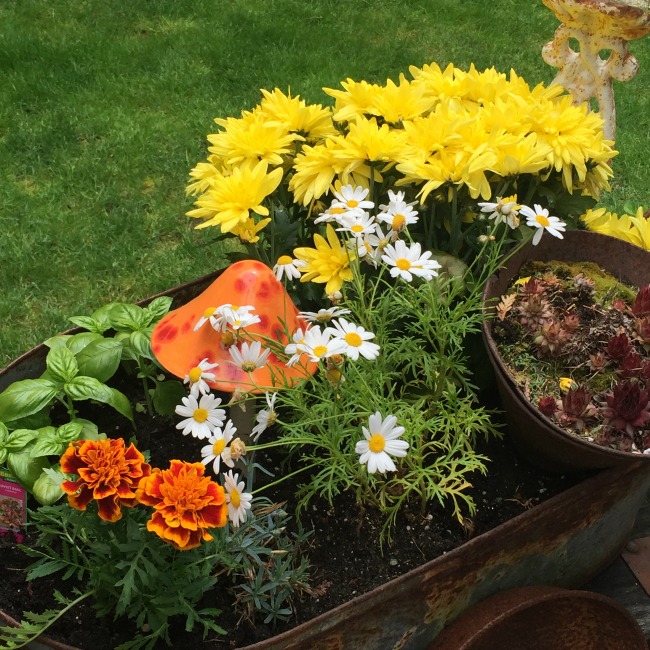 Flowers of all kinds in a planter