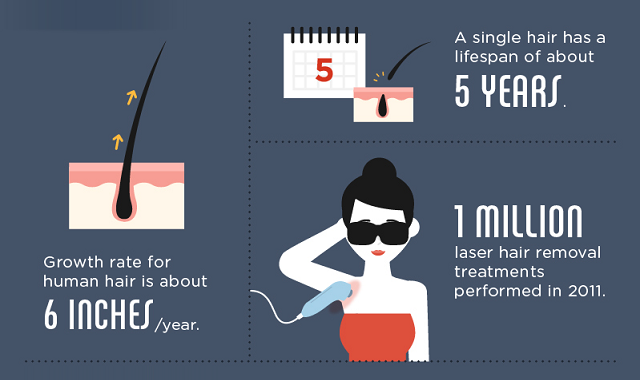 Hair Removal Facts, Numbers and Figures