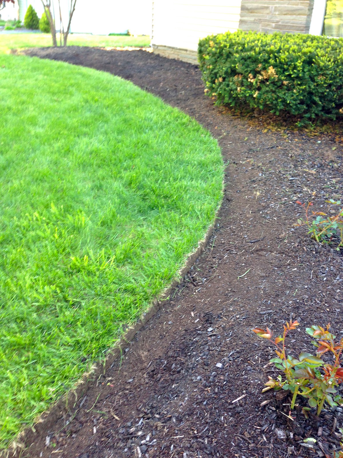 Eclectified Living How to Edge a Garden Bed