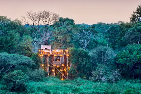 Safari Fusion blog | African treehouses | Stylish tree lodgings at Lion Sands Tinyeleti Treehouse, South Africa