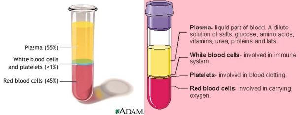 Journal Of A Princess..: Autologous Conditioned Plasma (ACP) Injection