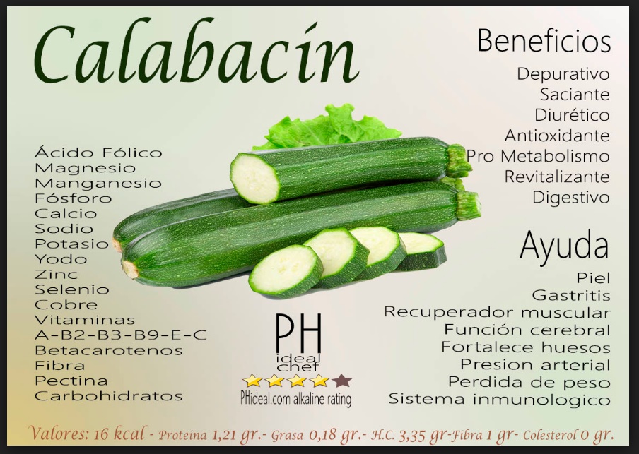 propiedades nutricionales del calabacin propiedades nutricionales del calabacin