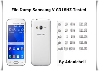 File Dump Samsung V G318HZ Tested