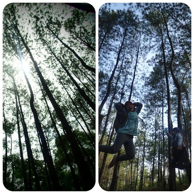adheb's photo adheb's photo