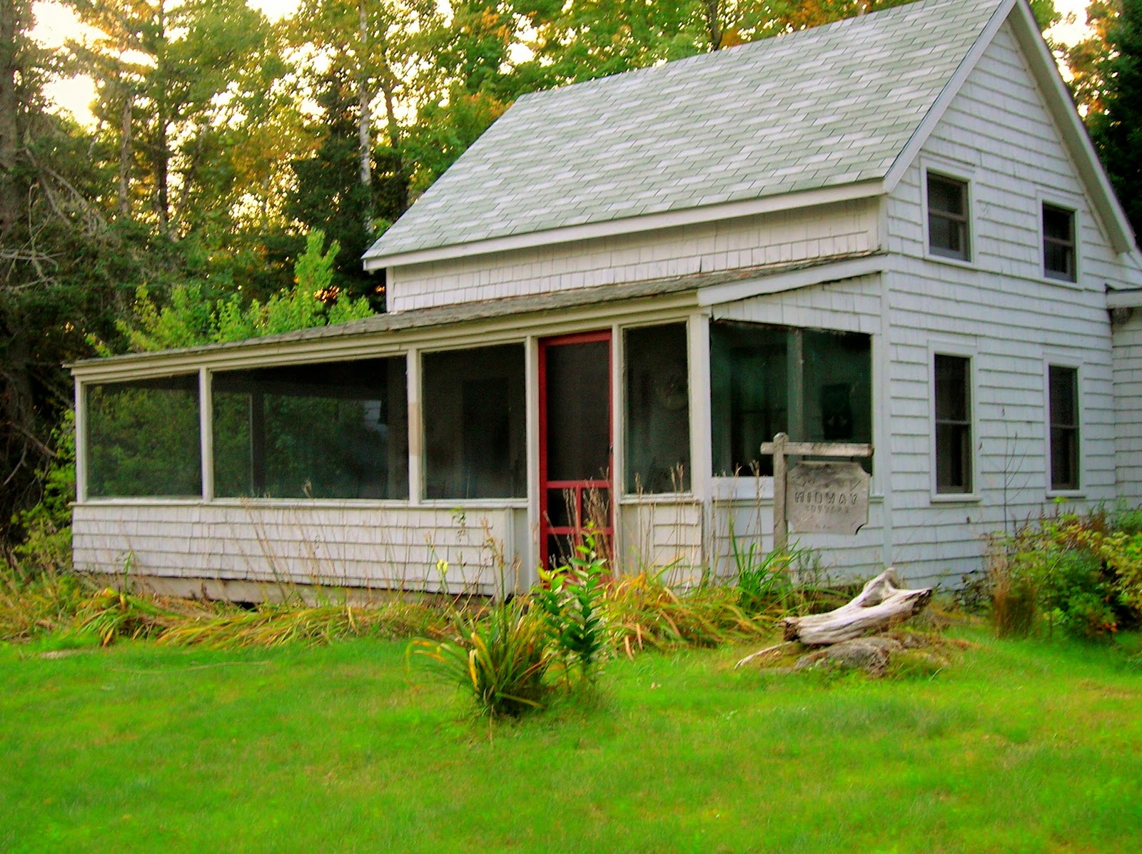 Small Stream Reflections "Gray Ghost"