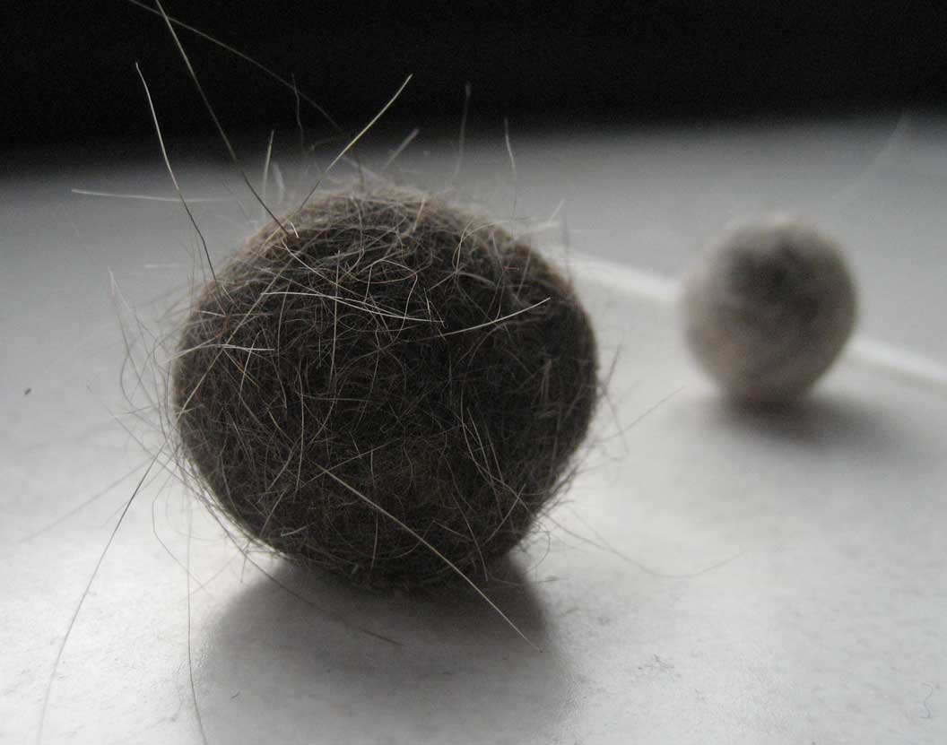 Arty Aitch Fur balls and sulking cats