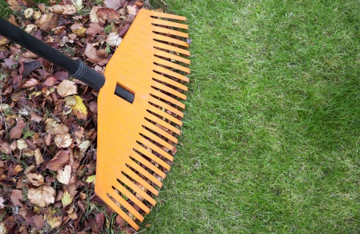 Choosing Leaf Vacuum Over Traditional Rakes - What To Know?