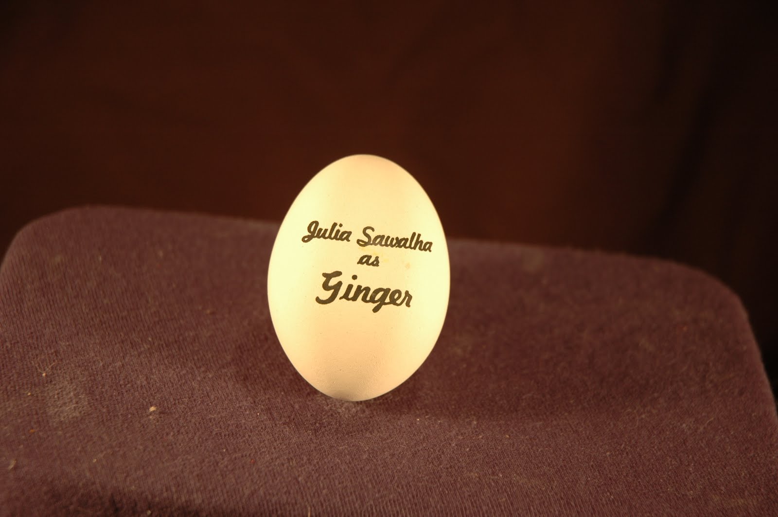 FLEM'S BLOG Ginger Chicken Run Egg 1