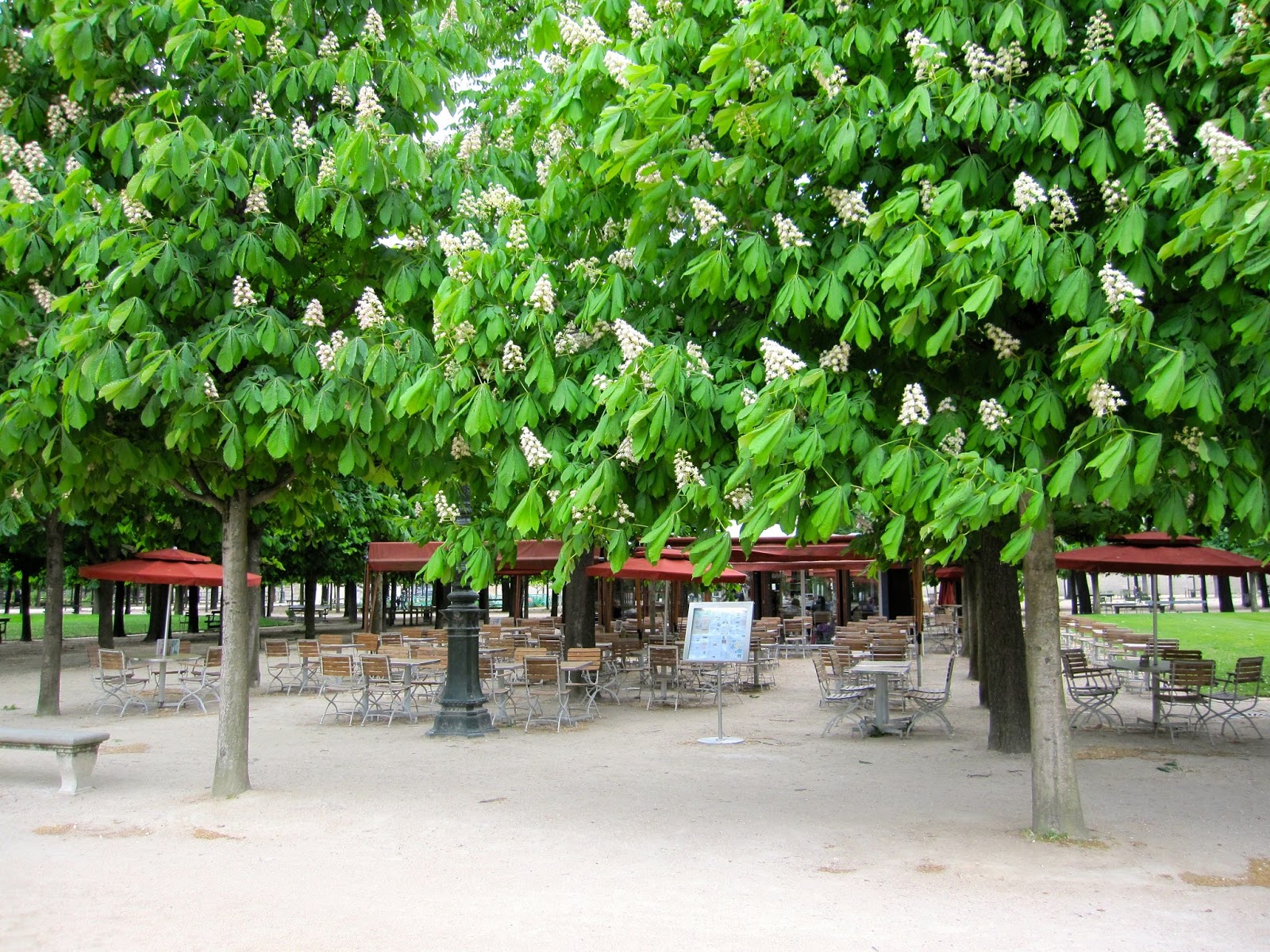 Destination Fiction Tuileries Garden, Paris