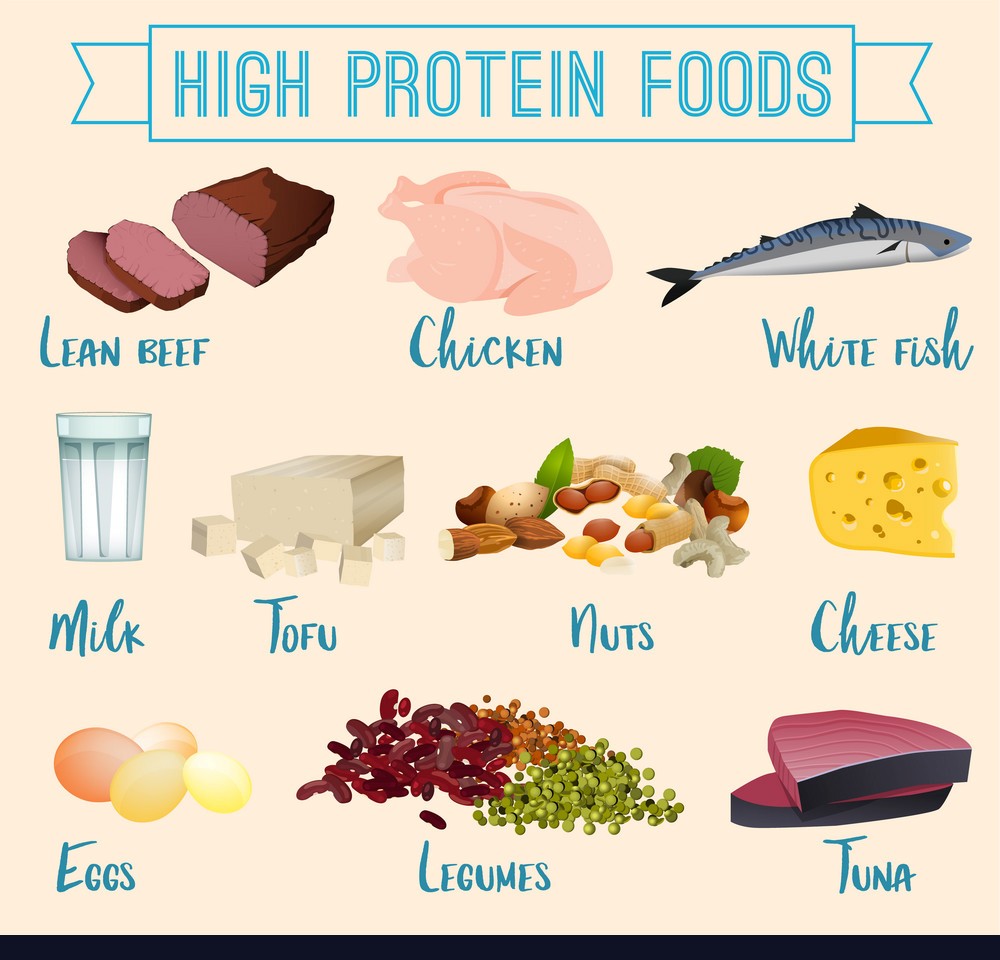 HOW PROTEIN INTAKE HELP WITH FAT LOSS - Natural Fitness Tips