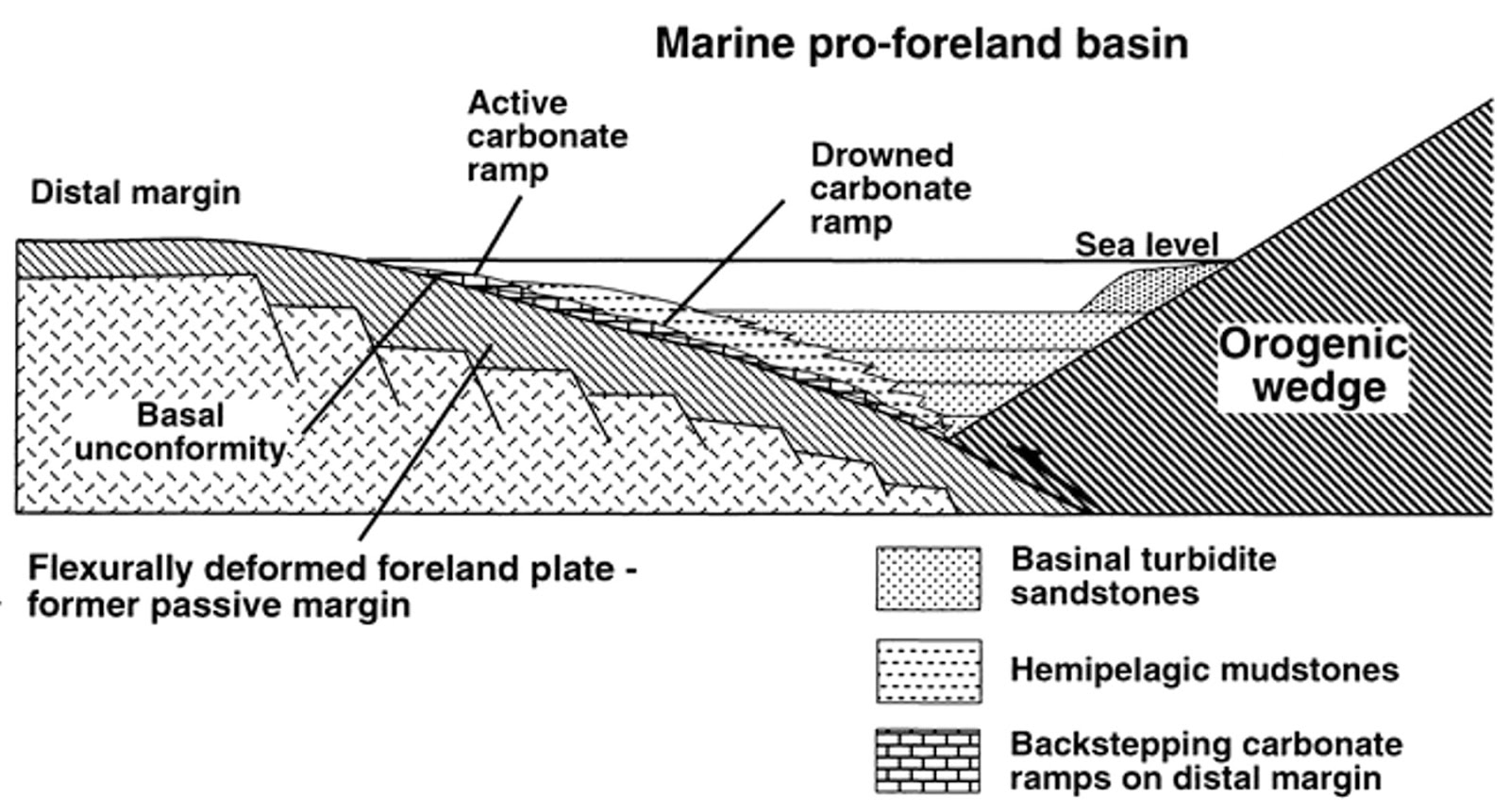 Learning Geology Carbonate platforms