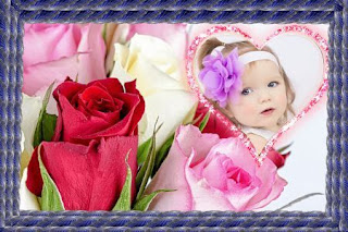 गुलाब का फूल फोटो डाउनलोड, फूलों के फोटो, दिल के फोटो, गुलाब शायरी, फूल गुलाब, गुलाब फूल की खेती, कमल के फूल, गुलाब के फूल के उपयोग, गुलाब फूल वॉलपेपर