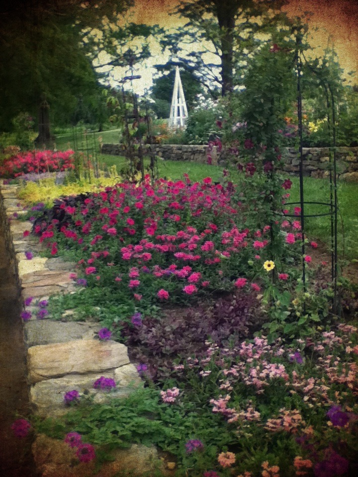 asketchadayConnecticutRamblings GLORIOUS WHITE FLOWER FARM