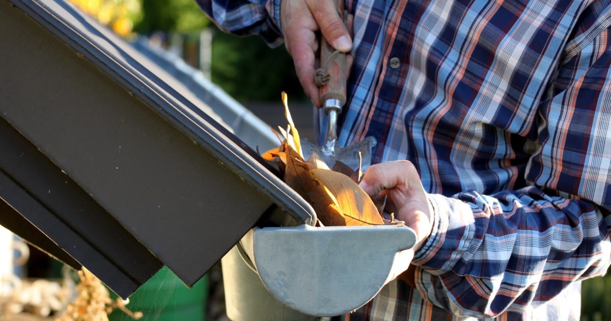 Gutter and Downspout Cleaning Edmonton AB