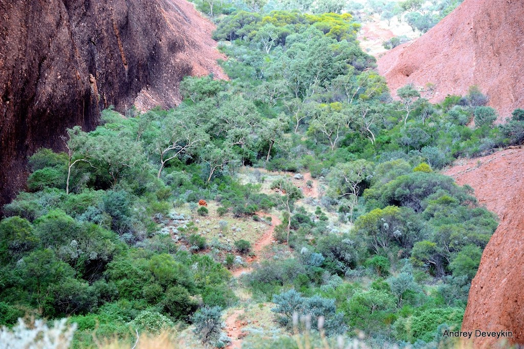 Ката-Тжута (Kata Tjuta, Ката-Тьюта)